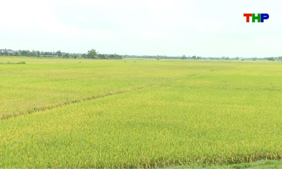 Bản tin thời sự cuối ng&agrave;y (30/05/2026)