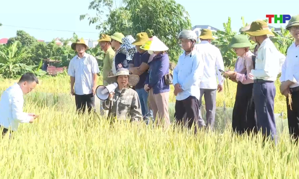 Bản tin thời sự 17h00 (31/05/2026)