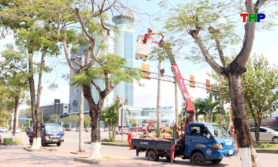 Bảo đảm an to&agrave;n c&acirc;y xanh đ&ocirc; thị trước m&ugrave;a mưa b&atilde;o