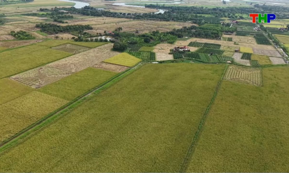 Nhịp sống 24h (01/06/2026)