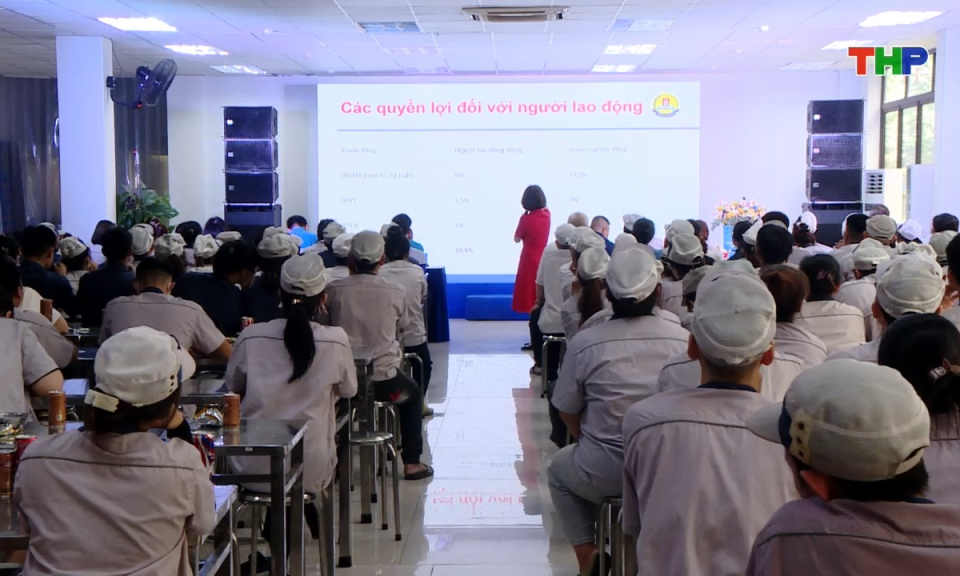 Bản tin tiếng Anh - Hai Phong News (01/06/2026)