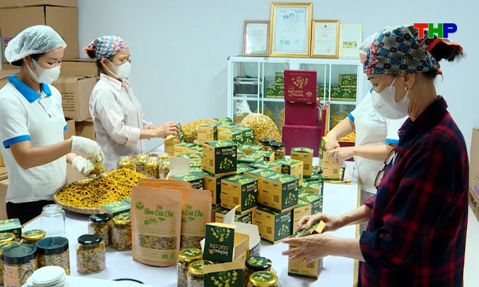 Phụ nữ Việt: Th&uacute;c đẩy phụ nữ khởi nghiệp, ph&aacute;t huy vai tr&ograve; trong ph&aacute;t triển kinh tế