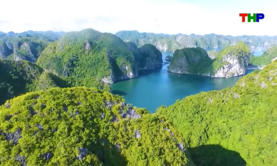 Bản tin tiếng Trung - 海防新闻 (03/06/2026)