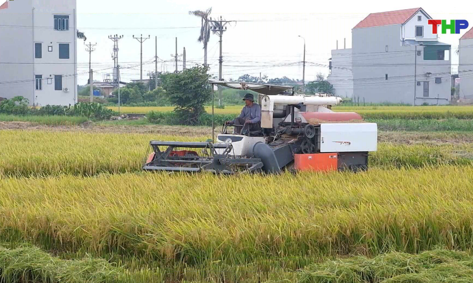 Bản tin thời sự 17h00 (06/06/2026)