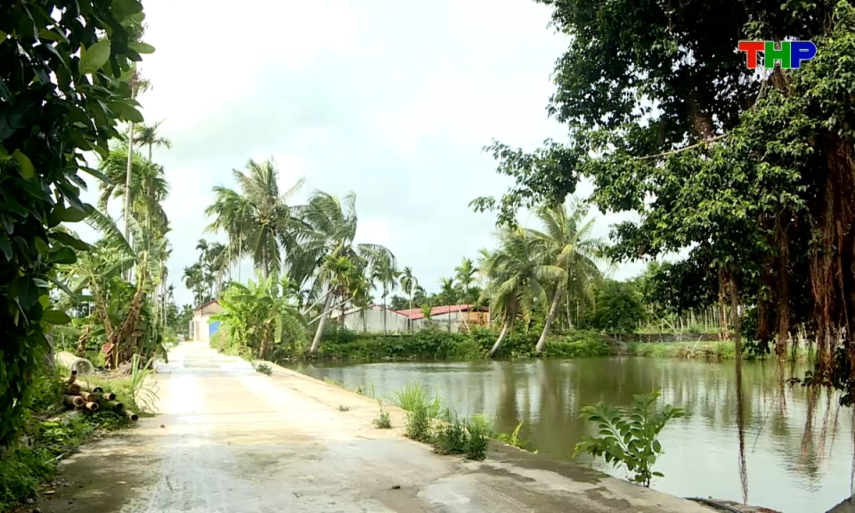 Hộp thư truyền h&igrave;nh: UBND x&atilde; Kiến Hải cần xử l&yacute; nghi&ecirc;m trang trại chăn nu&ocirc;i g&acirc;y &ocirc; nhiễm m&ocirc;i trường