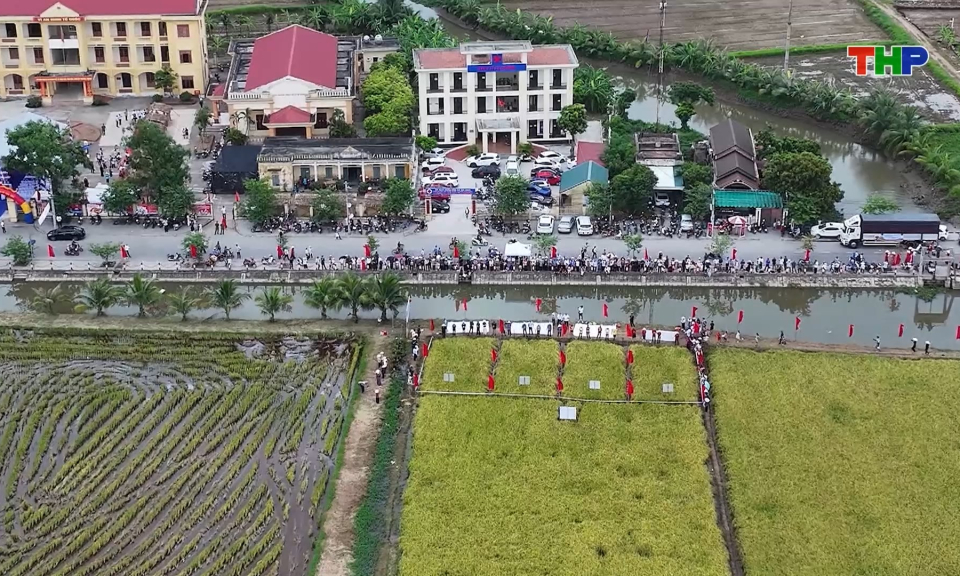 S&ocirc;i động Ng&agrave;y hội l&uacute;a rươi hữu cơ 2026