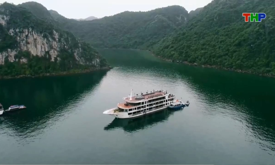 Bản tin thời sự trưa (08/06/2026)