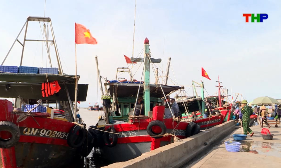 Bản tin tiếng Anh - Hai Phong News (09/06/2026)