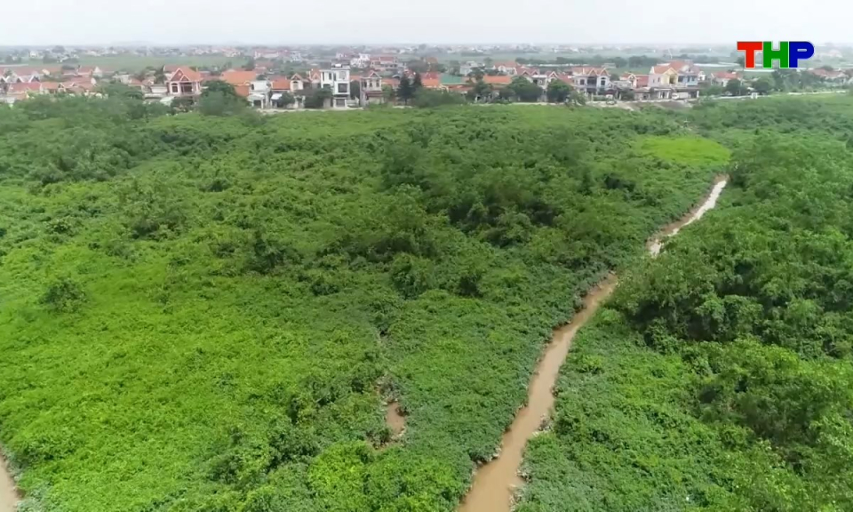 Bản tin tiếng Trung - 海防新闻 (09/06/2026)