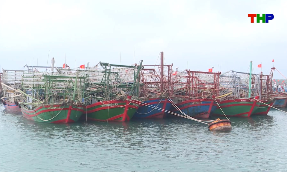Khai th&aacute;c hợp ph&aacute;p, c&oacute; tr&aacute;ch nhiệm v&igrave; nghề c&aacute; bền vững
