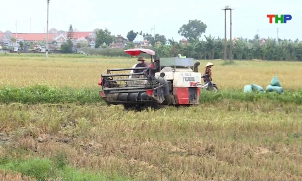 Bản tin thời sự trưa (10/06/2026)