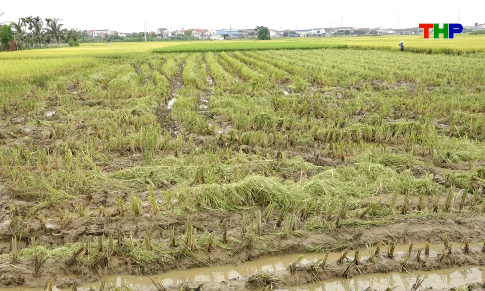 Bản tin thời sự cuối ng&agrave;y (10/06/2026)