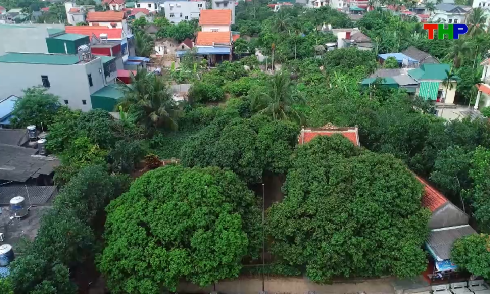 Bản tin tiếng Trung - 海防新闻 (10/06/2026)
