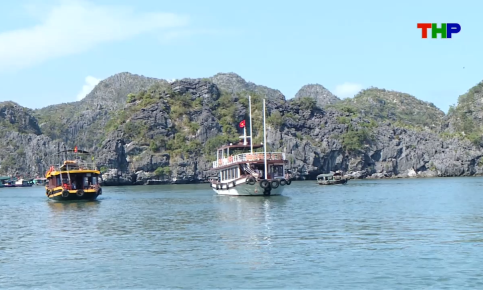Bản tin thời sự s&aacute;ng (11/06/2026)