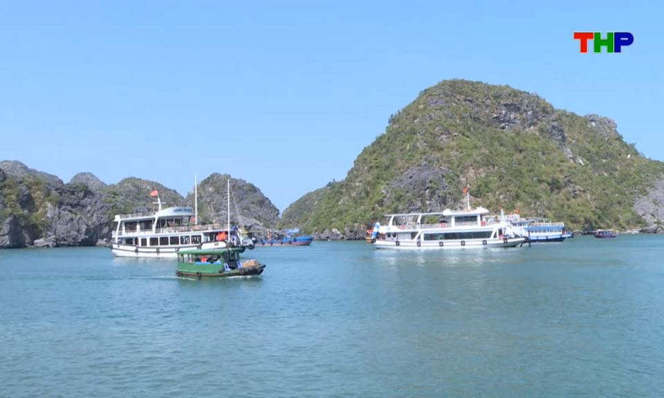 Bản tin tiếng Anh - Hai Phong News (11/06/2026)
