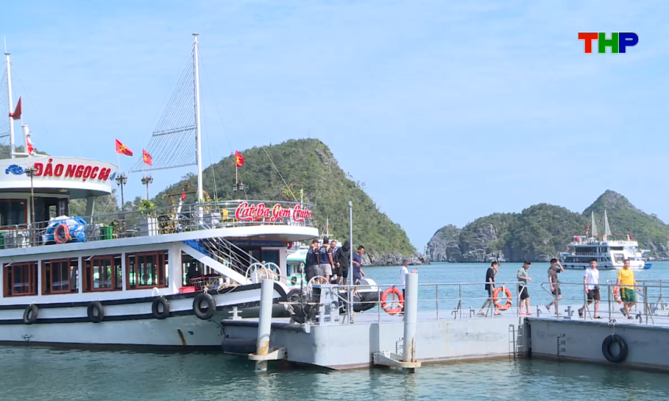 Bản tin tiếng Trung - 海防新闻 (11/06/2026)