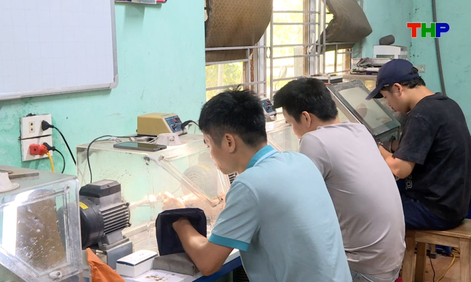 Kinh tế v&agrave; đ&ocirc; thị: Động lực ph&aacute;t triển kinh tế tập thể bền vững