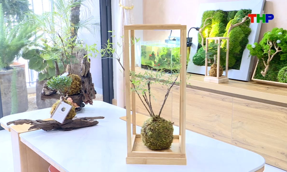 Kh&ocirc;ng gian sống: Xu hướng Kokedama