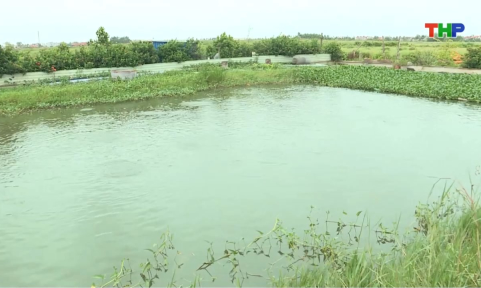 Bản tin thời sự trưa (14/06/2026)