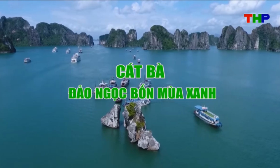 Chạm Hải Ph&ograve;ng: C&aacute;t B&agrave; - Đảo ngọc bốn m&ugrave;a xanh
