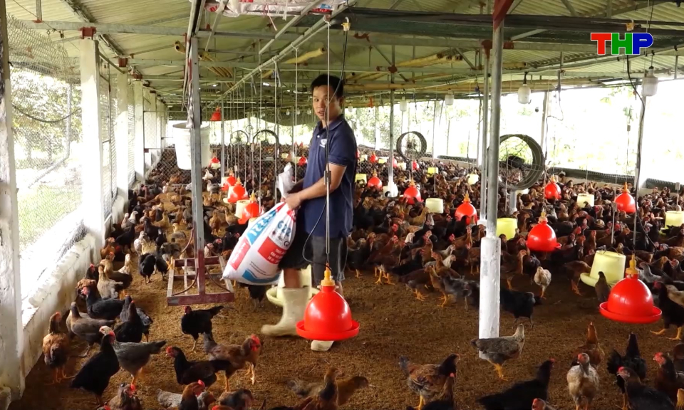 Chủ động chống n&oacute;ng cho gia cầm