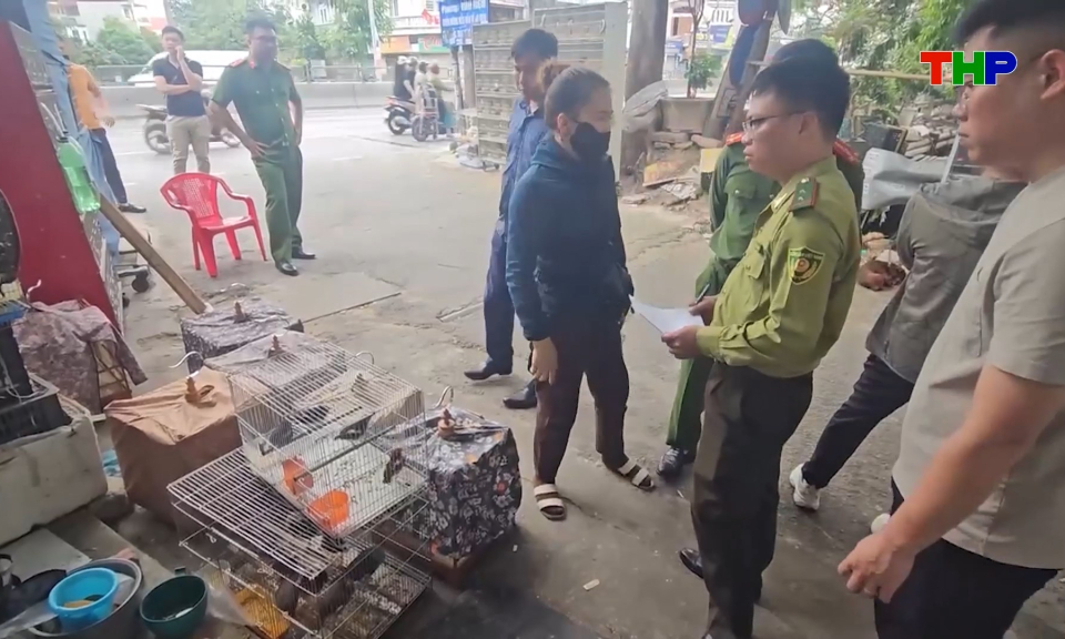 Xử l&yacute;, ngăn chặn h&agrave;nh vi vi phạm ph&aacute;p luật về bảo vệ động vật hoang d&atilde;