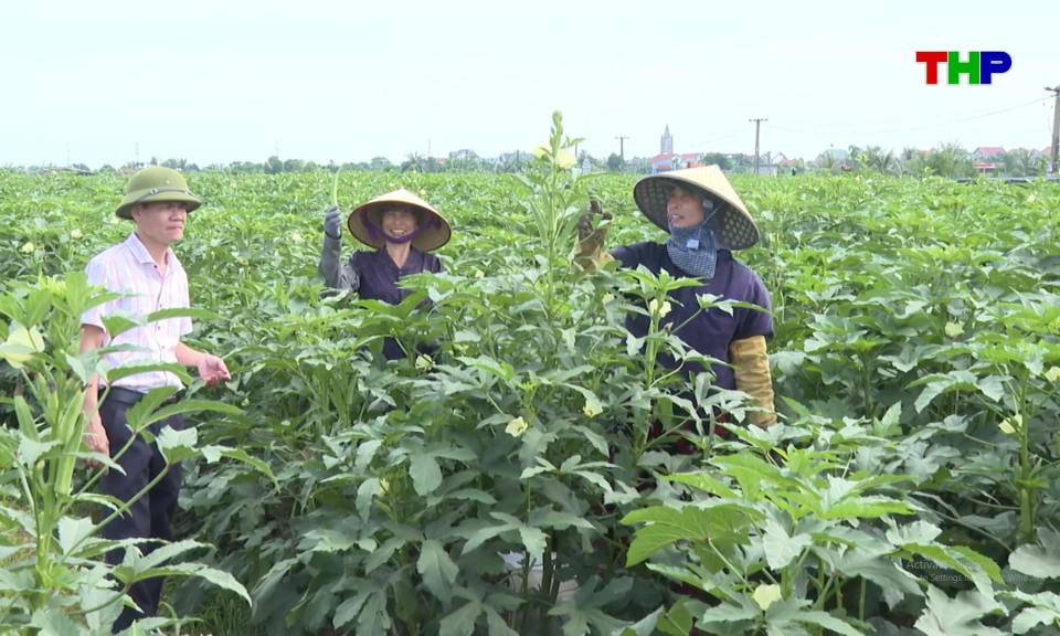 Bản tin thời sự 17h00 (16/06/2026)