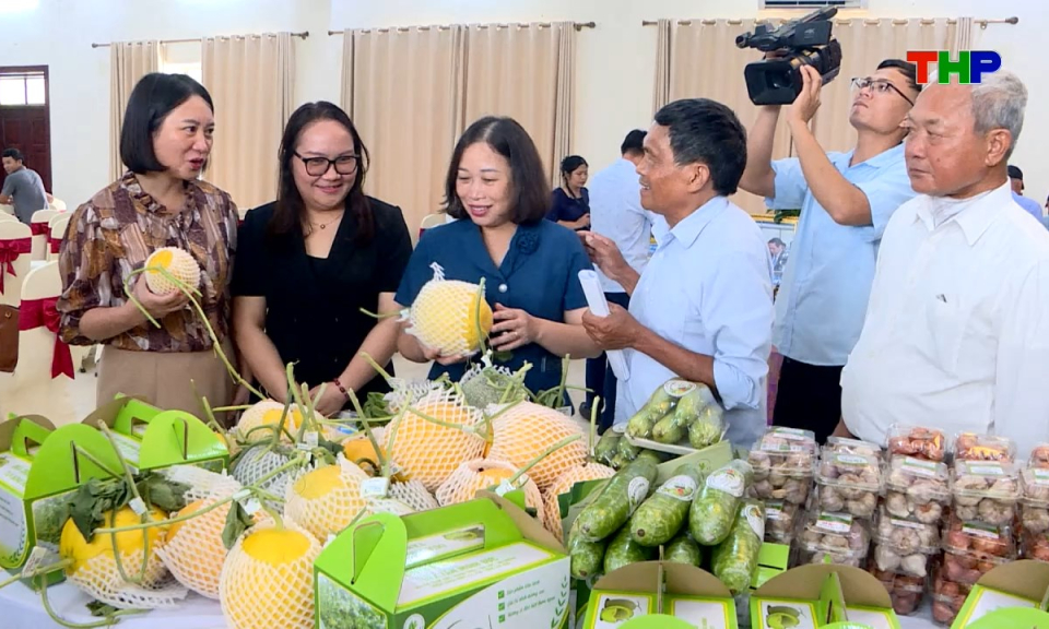 N&ocirc;ng th&ocirc;n mới Hải Ph&ograve;ng: X&acirc;y dựng thương hiệu, n&acirc;ng tầm sản phẩm OCOP