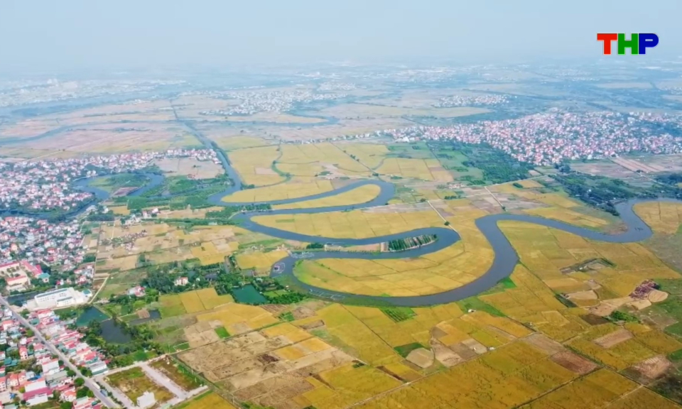Chạm Hải Ph&ograve;ng: M&ugrave;a v&agrave;ng