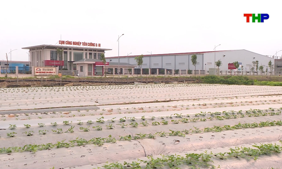 Tiến độ Dự &aacute;n cụm c&ocirc;ng nghiệp Ti&ecirc;n Cường III