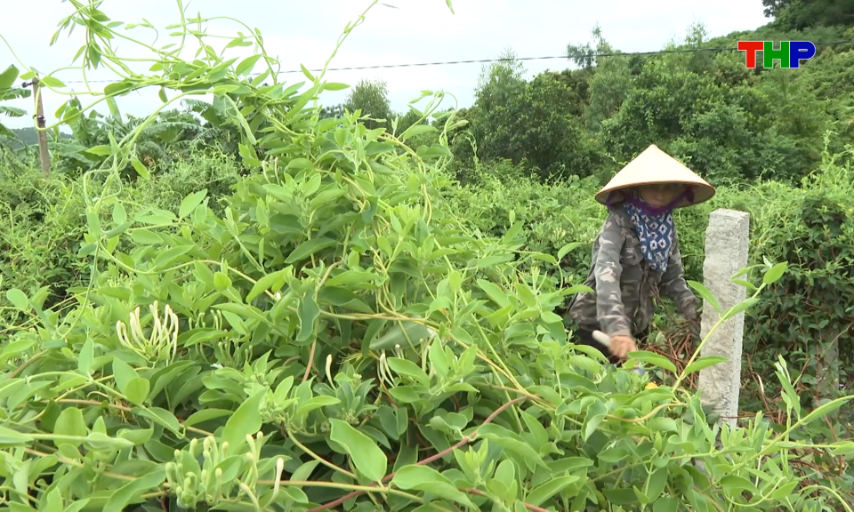 Bản tin thời sự cuối ng&agrave;y (19/06/2026)