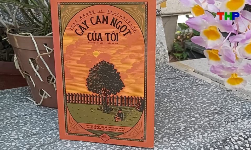 Giới thiệu s&aacute;ch: C&acirc;y cam ngọt của t&ocirc;i