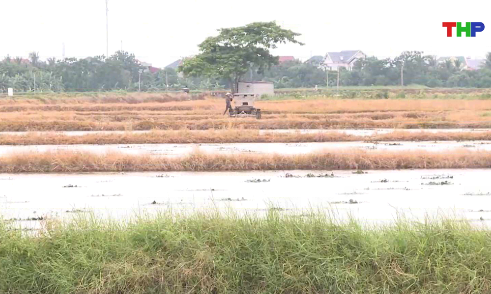 Bản tin thời sự 17h00 (20/06/2026)