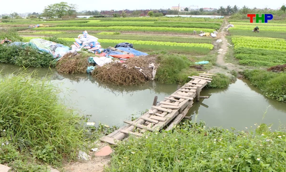 Hộp thư truyền h&igrave;nh: Giải quyết kiến nghị từ cơ sở th&ocirc;ng qua đối thoại