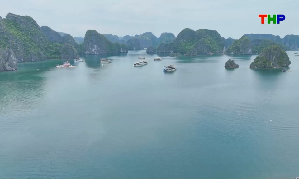 Du lịch C&aacute;t B&agrave; tiếp đ&agrave; tăng trưởng trong nửa đầu năm 2026