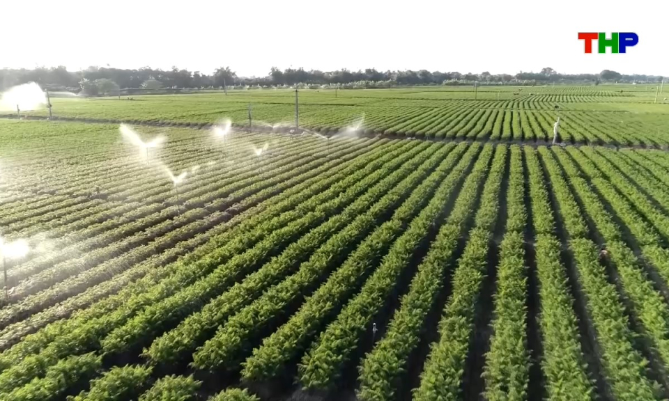 Ch&iacute;nh s&aacute;ch ph&aacute;p luật: Ph&aacute;t triển n&ocirc;ng nghiệp hiện đại theo tinh thần Nghị quyết 19