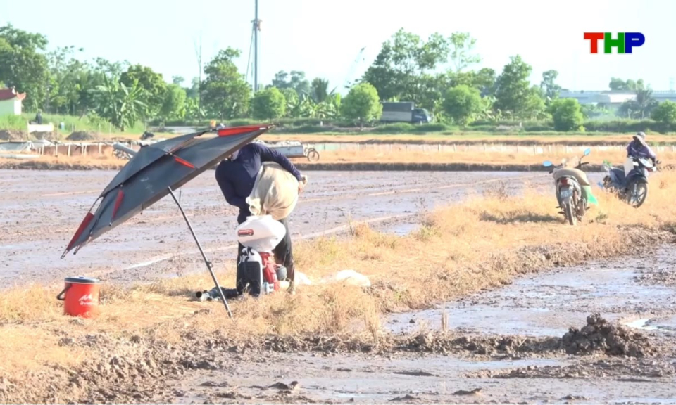 Nhịp sống 24h (27/06/2026)