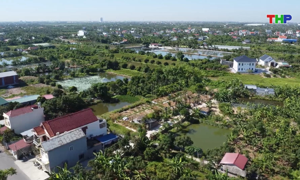 Bản tin thời sự 17h00 (29/06/2026)