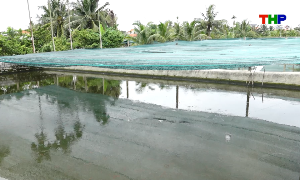 Bản tin thời sự s&aacute;ng (01/07/2026)