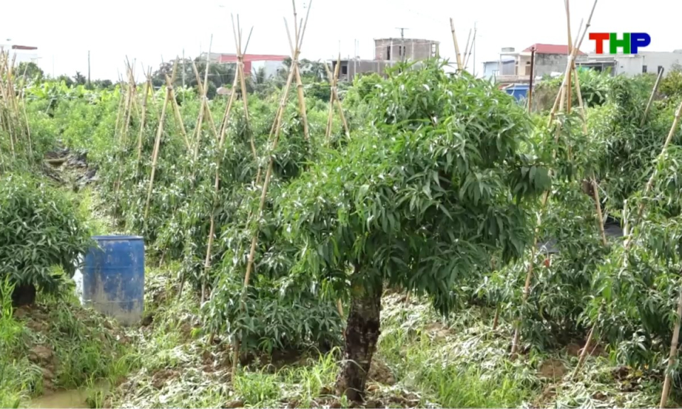 Bản tin thời sự cuối ng&agrave;y (04/07/2026)
