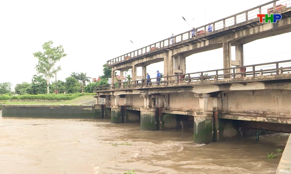 Hải Ph&ograve;ng kh&ocirc;ng c&oacute; thiệt hại đ&aacute;ng kể do b&atilde;o số 1 