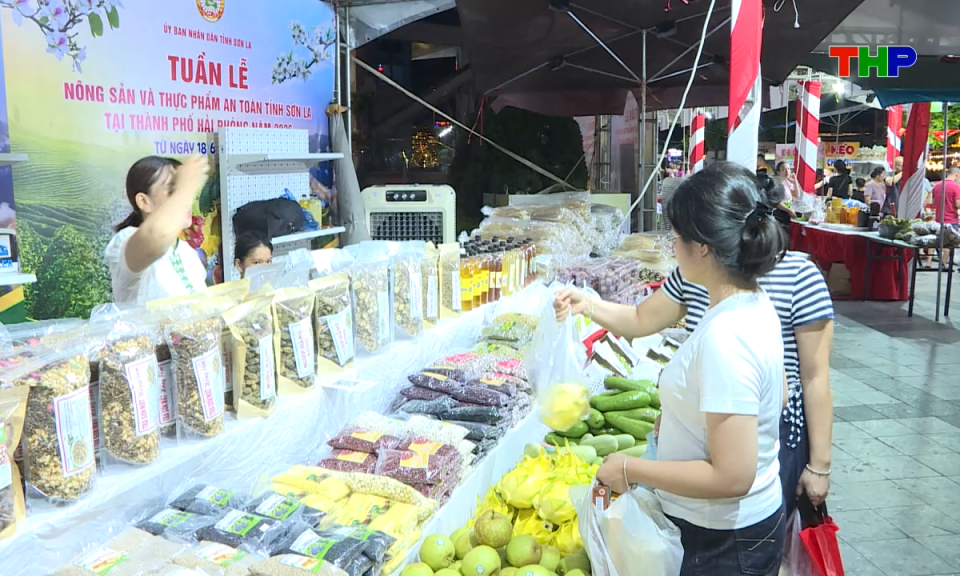 Bản tin tiếng Trung - 海防新闻 (07/07/2026)
