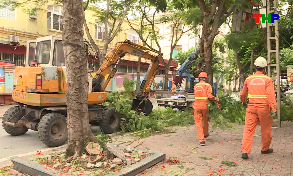 Bản tin thời sự s&aacute;ng (08/07/2026)