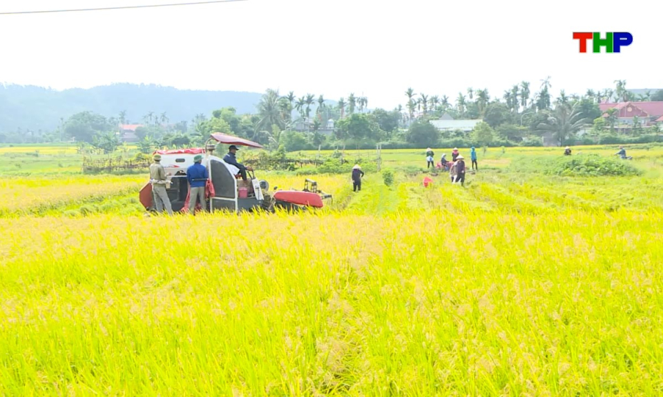 Ch&iacute;nh s&aacute;ch ph&aacute;p luật: Đ&ograve;n bẩy cho n&ocirc;ng nghiệp sản xuất tập trung 