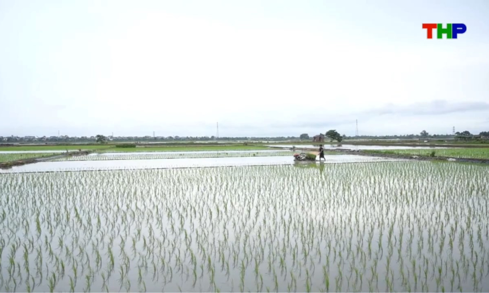 Nhịp sống 24h (10/07/2026)