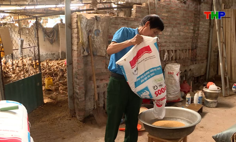 Ch&acirc;n dung cuộc sống: Cựu chiến binh l&agrave;m kinh tế giỏi