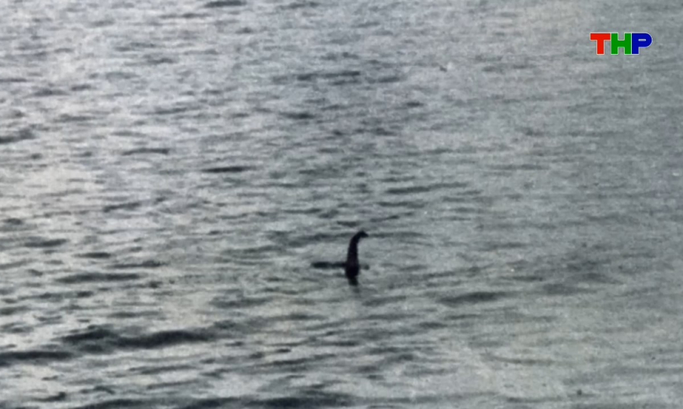 Kh&aacute;m ph&aacute; thế giới: Kh&aacute;m ph&aacute; những b&iacute; mật của hồ Loch Ness