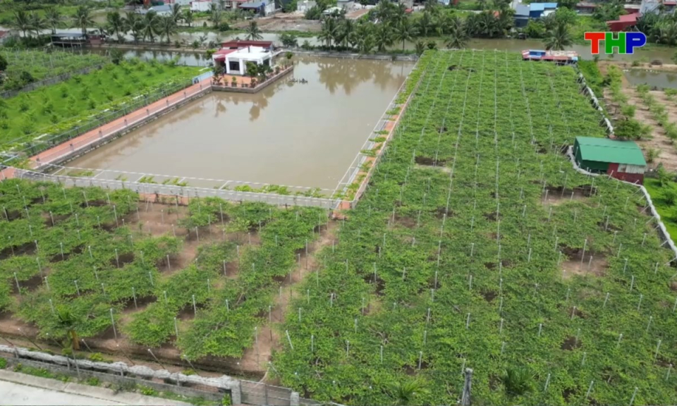 M&ocirc; h&igrave;nh &ldquo;C&aacute;nh đồng kh&ocirc;ng r&aacute;c thải&rdquo;