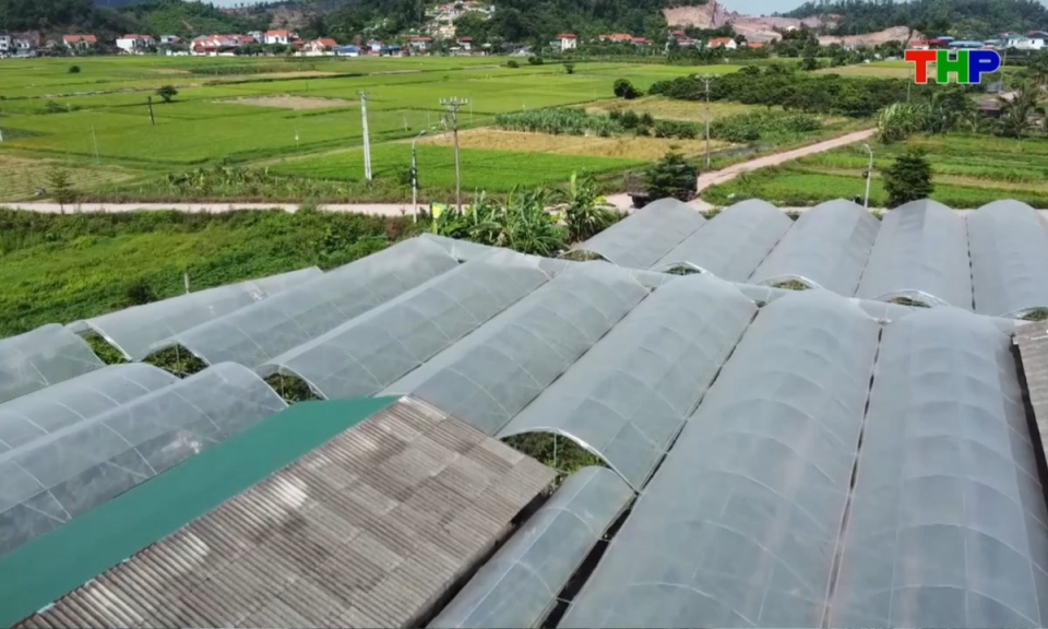 Ứng dụng c&ocirc;ng nghệ trong sản xuất, kinh doanh