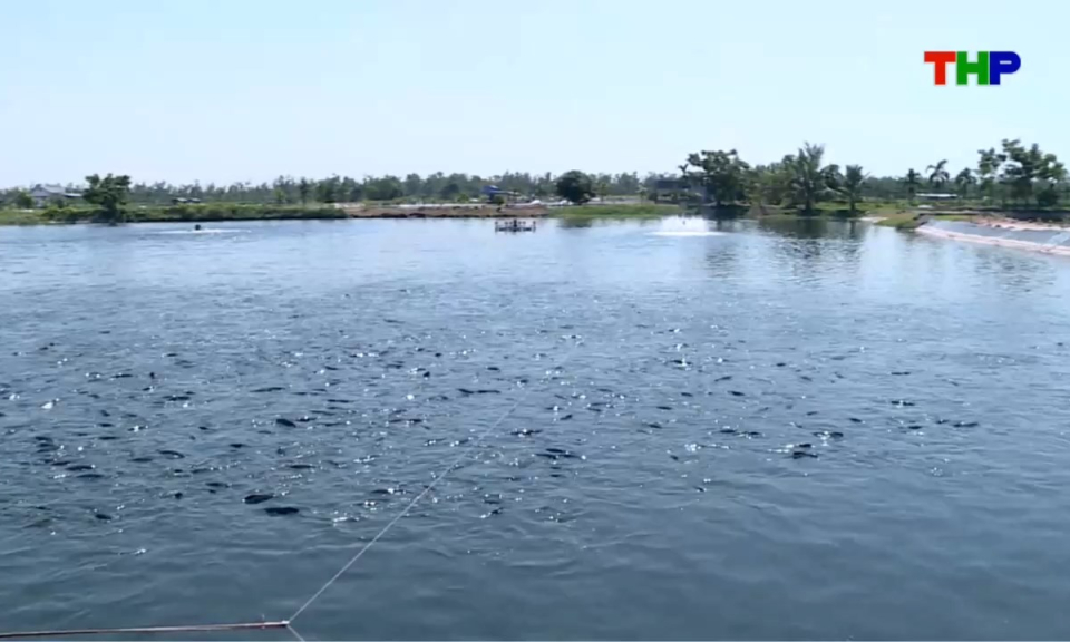 Bản tin thời sự s&aacute;ng (13/07/2026)